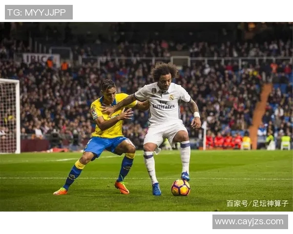 帕梅拉斯与巴竞技的激烈对决揭示巴西足球的魅力与竞争力