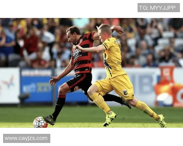 惠灵顿与悉尼足球对决比分预测分析及赛前展望