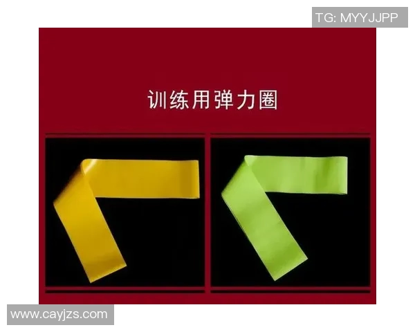 南京羽毛球队耐力训练揭秘:提升竞技水平的关键因素分析